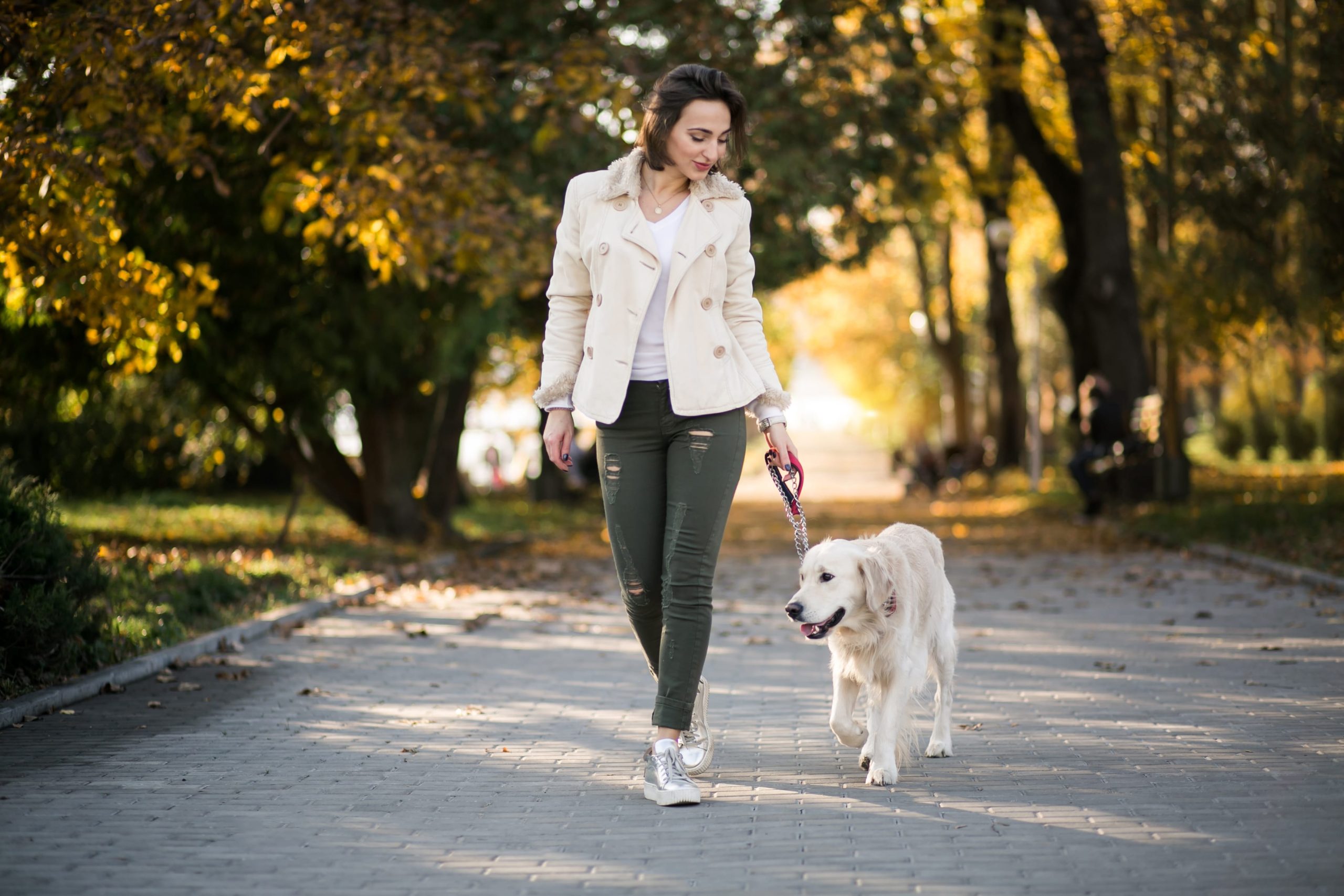 Wag caregiver takes a dog for a walk